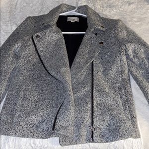 LOFT Winter Moto Jacket
